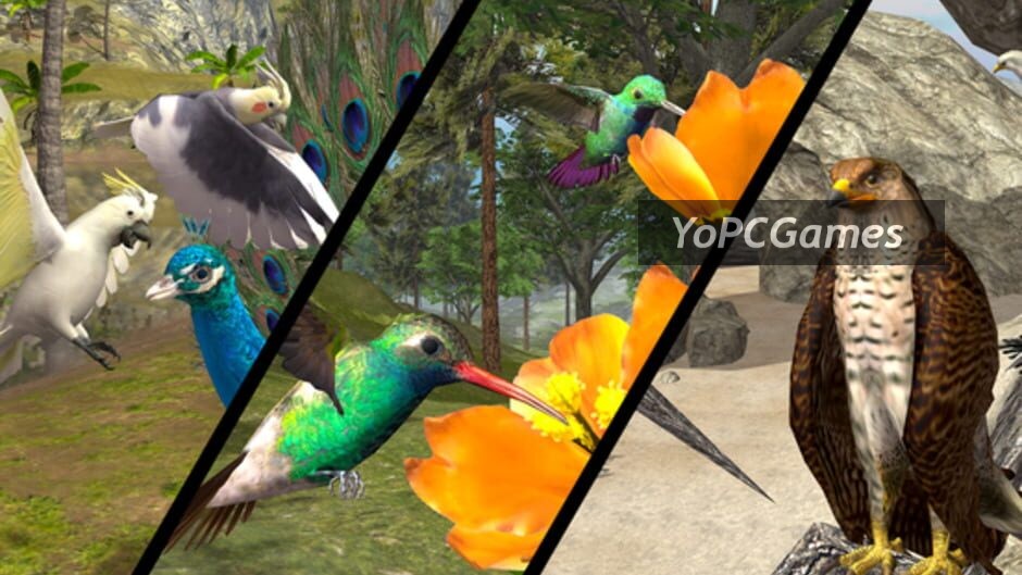ultimate bird simulator screenshot 3