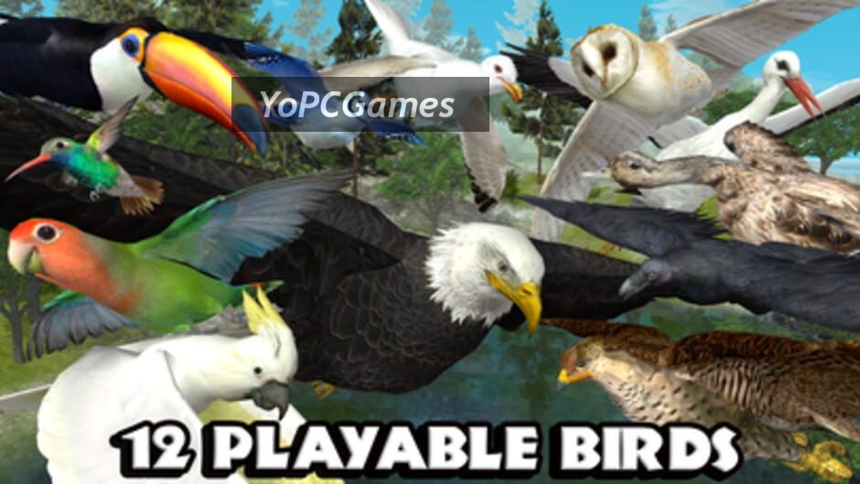 ultimate bird simulator screenshot 5